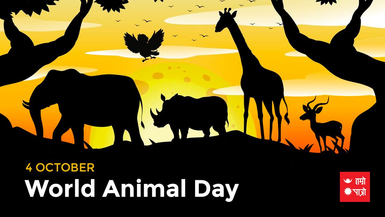 World Animal day | Trayodashi Shradhha | Hamro Patro